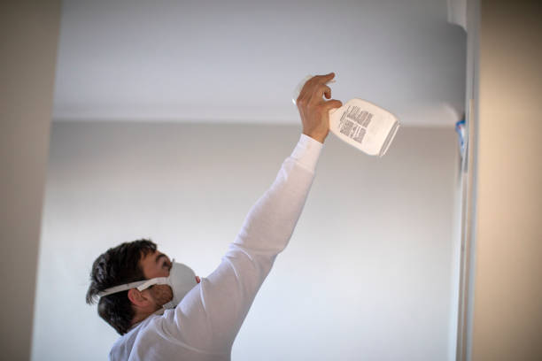 Best Same-Day Mold Removal  in Rossvle, IL