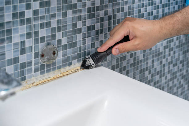 Office Mold Removal Services in Rossville, IL