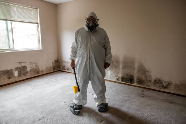 Best Residential Mold Removal  in Rossvle, IL